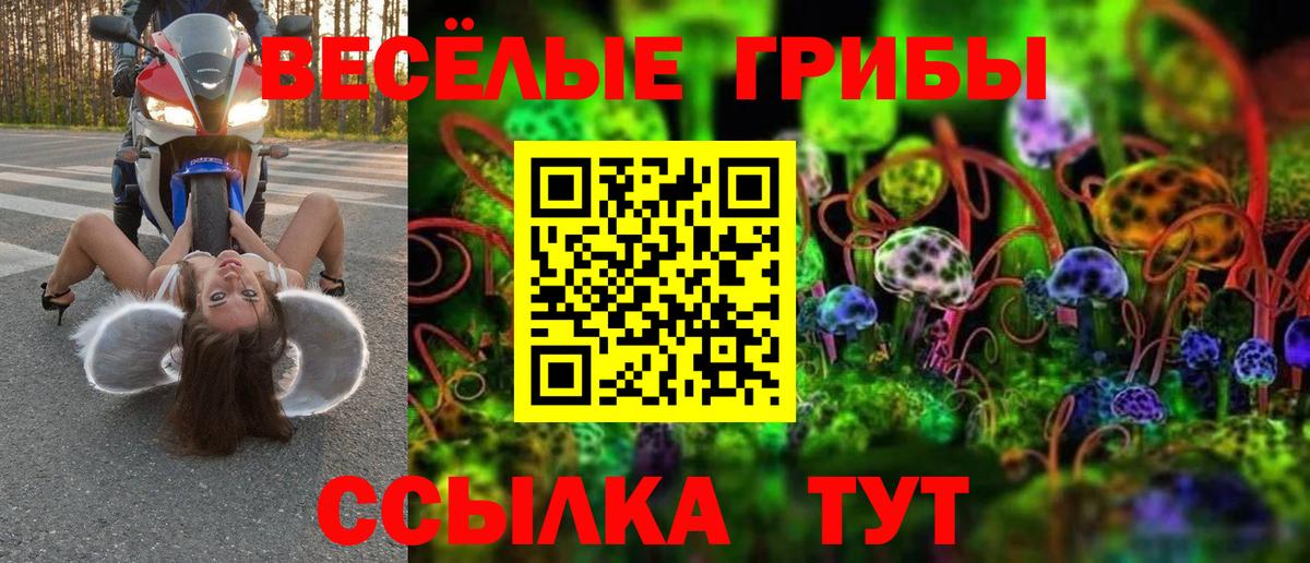 Псилоцибиновые грибы ЛСД Сибай