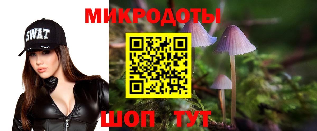 Сибай  Псилоцибиновые грибы GOLDEN TEACHER  Вход с VPN 